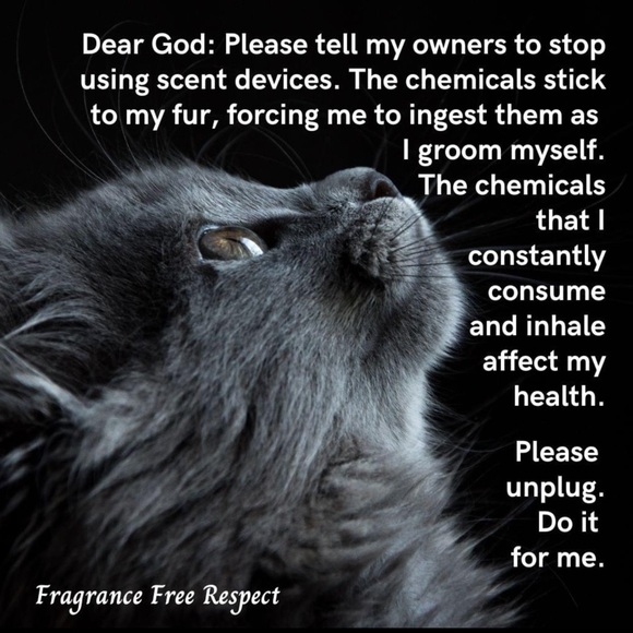 π - Picture 16 of 16